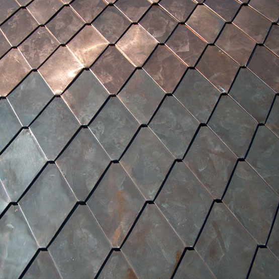 Scandole, scaglie Venezia
