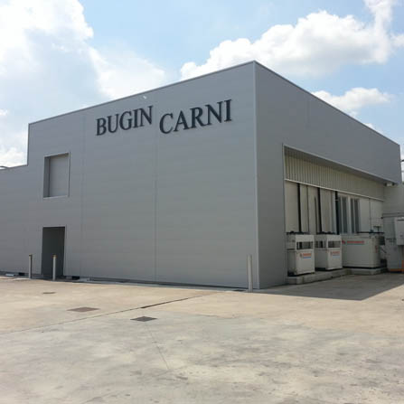 Bugin