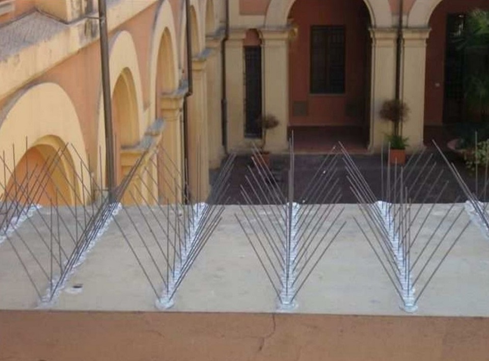 Dissuasori per piccioni